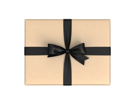 Rectangular brown package, centered, black ribbon, bow on top, plain background