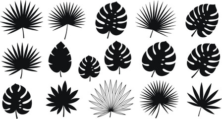 Tropical leaf silhouettes, exotic foliage vector set, black botanical shapes, palm monstera agave leaves, nature design illustration, jungle plant art