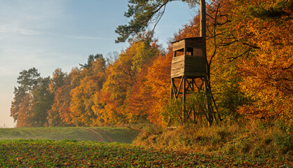 a hunting tower on the edge of an autumn forest on a beautiful, clear morning