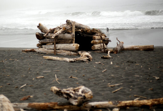 driftwood on the beach in the shape of a fort on the coast of California 