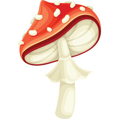 Amanita Muscaria Mushroom With Red Cap White Spots And White Stem With Ruffled Collar On Transparent Background