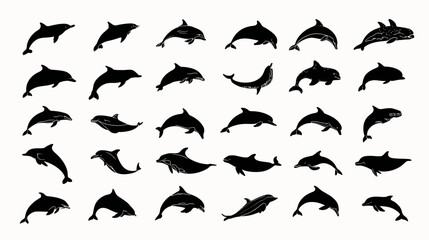 Dolphin silhouettes set in various dynamic poses. Marine life ocean animal vector collection of jumping and swimming mammals.