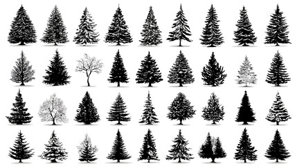 Diverse collection of tree silhouettes, including evergreen pines, firs, spruces, and bare deciduous trees, perfect for nature and winter designs.