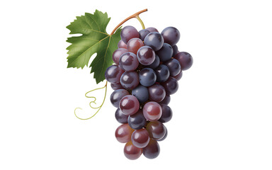 Fototapeta premium Bunch of ripe red grapes with a green leaf isolated on transparent background