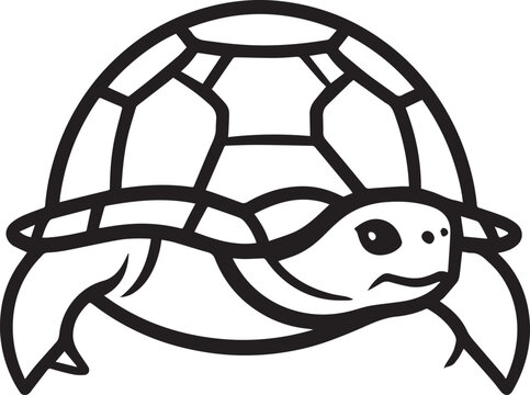 Turtle Line Art Vector