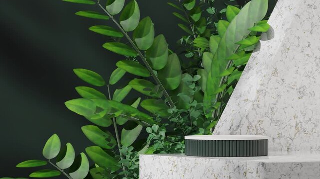 3d video render scene mockup of round green and white podium looping seamless shadow animation with marble floor and zamia plant