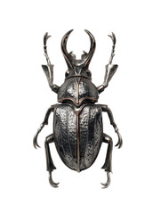 Metallic beetle with elaborate antennae on a black background
