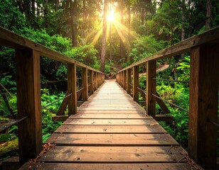 Obraz premium Wooden Footbridge Through Lush Green Forest with Sunlight Shining Through Canopy Perspective View