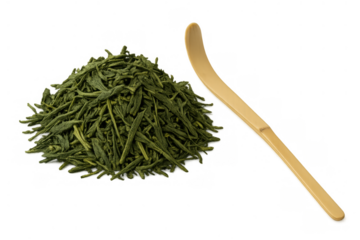 Sencha green tea leaves with bamboo chashaku scoop for traditional japanese tea ceremony preparation, transparent background
