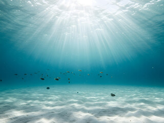 Naklejka premium Sunlit Underwater Scene-Bright Sun Rays Underwater - Tropical Ocean with Coral Reef & Sandy Seabed