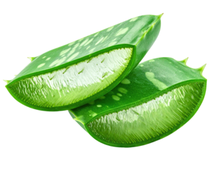 Close-up of two sliced, vibrant green leaves revealing translucent gel