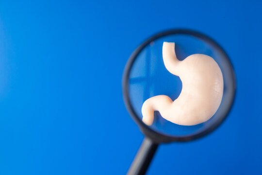 a magnifying glass focusing on a stomach. Examining stomach function. 
