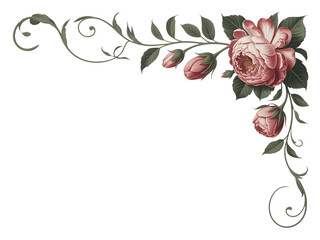 Floral Corner Design Isolated on Transparent Background