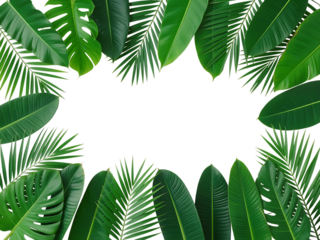 Leaf Border isolated on transparent background
