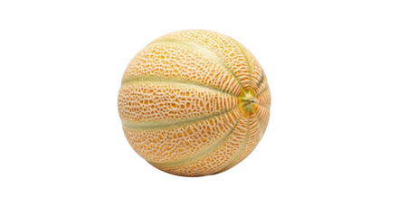 Pollen grain isolated on transparent background