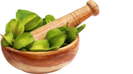 Wooden mortar and pestle filled with fresh green herbal leaves for natural medicine, organic cooking, and botanical preparation, isolated on transparent background, PNG.