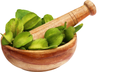 Wooden mortar and pestle filled with fresh green herbal leaves for natural medicine, organic cooking, and botanical preparation, isolated on transparent background, PNG.