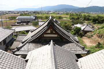 美濃国分寺の眺め