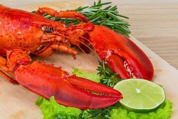 Delicious cooked lobster with fresh lime and herbs on wooden board