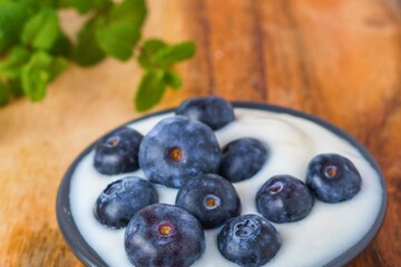 Fresh blueberries topped on creamy yogurt with green mint leaves