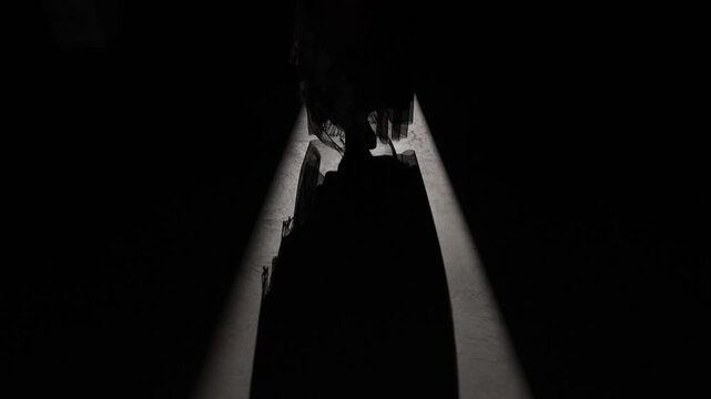 A woman in a long dress stands in a narrow spotlight, casting a large shadow on the floor, surrounded by deep darkness. Strong copy space