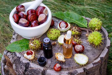 Horse chestnut, extract oil bottle. Medicinal use for veins and vascular health