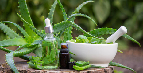 Aloe Vera Home Remedy: Preparation of medicine with leaves in a mortar and essential oil.