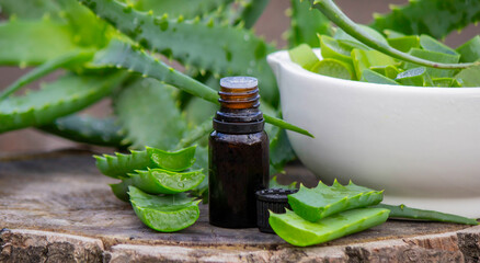 Close-up: Amber bottle of Aloe Vera oil essence and freshly cut leaves on wood
