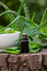 Close-up: Amber bottle of Aloe Vera oil essence and freshly cut leaves on wood