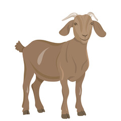 Brown goat standing isolated on white background. A detailed illustration of a brown goat with soft shading and natural posture. The animal looks calm and realistic, representing farm life and rustic 