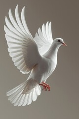Obraz premium A beautiful white dove in flight with wings spread wide