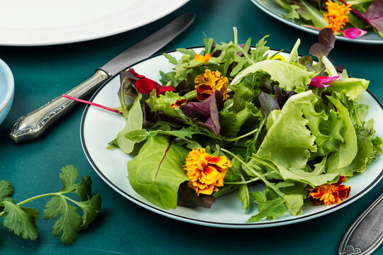 Refreshing salad with greens of floral garnish