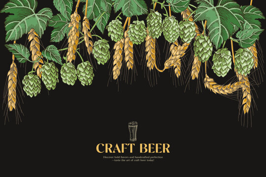Craft beer background with hop and malt