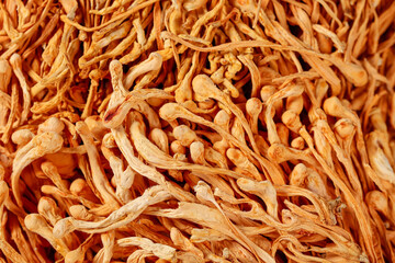 Cordyceps Mushroom Spore Heads Traditional Chinese Medicine Herbal Ingredient Natural Health...