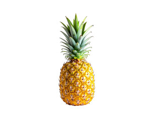 Whole Ripe Pineapple Fruit Isolated on Black Background with Green Stems and Yellow Textured Skin and Crown of Leaves