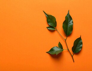Green leaves on orange background