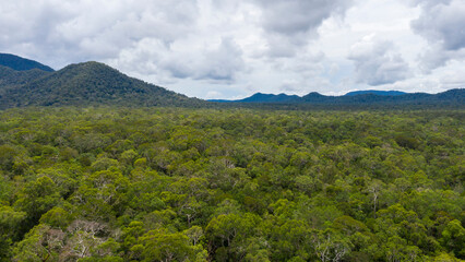Aerial view of lush tropical rainforest with dense green canopy covering mountain slopes in Sabah, Borneo, Malaysia. © Yusnizam Yusof