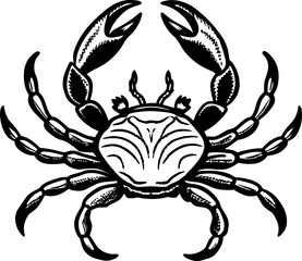 A detailed, black and white illustration of a crab centered on a white background. The crab is depicted in a top-down view, showcasing its entire body. It has a rounded carapace with detailed hatched 