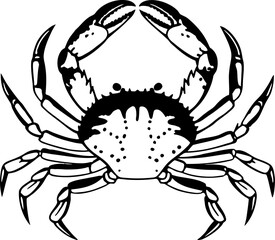 A detailed, black and white illustration of a crab centered on a white background. The crab is depicted in a top-down view, showcasing its entire body. It has a rounded carapace with detailed hatched 