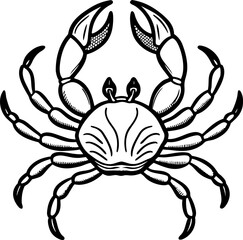 A detailed, black and white illustration of a crab centered on a white background. The crab is depicted in a top-down view, showcasing its entire body. It has a rounded carapace with detailed hatched 