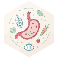 A flat pastel illustration of a stomach icon representing health