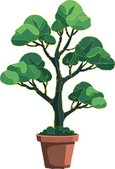 Fototapeta premium bonsai tree in pot