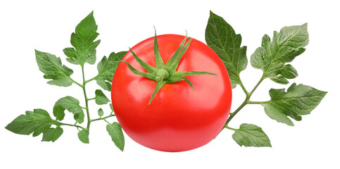 perfect ripe red tomato with vibrant green tomato vine leaves elegantly arranged, captured in a high-quality studio photograph. © Wasai