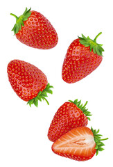 fresh, ripe strawberries, whole and halved, scattered and floating dynamically, isolated against a solid transparent background, showcasing vibrant red color.