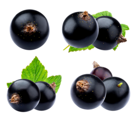 several clusters of ripe black currants, some with green leaves attached, isolated against a solid transparent background, showcasing high detail and gloss.