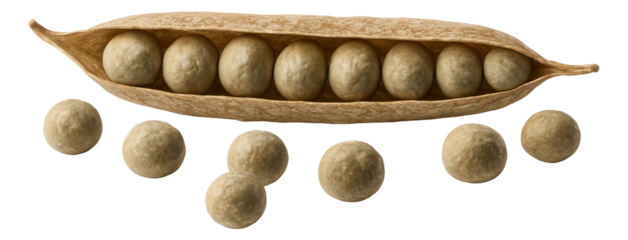 Honeysuckle-infused gin in a short, squat bottle with a vintage-style label and wax-sealed cork