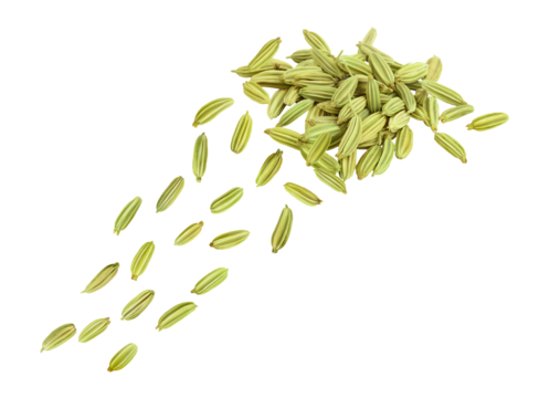 dynamic studio photograph capturing dried fennel seeds pouring or flying from a central heap, creating motion against a stark transparent background, emphasizing culinary spice.