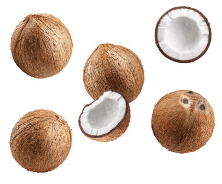 photograph of a set of six fresh coconuts, including whole hairy shells and halves displaying pure white meat, isolated on black.