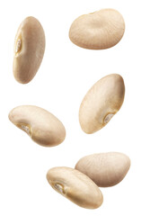 photograph of five individual, plump white lima beans, displaying their distinct flat oval shape and creamy texture, isolated on black.