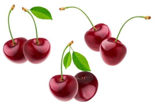 photograph featuring a beautiful arrangement of glossy, ripe dark red cherries clustered in pairs and singles, complete with stems and leaves, isolated on black.